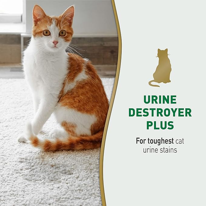 Nature’s Miracle Urine Destroyer Plus Cat, 32 Ounces, Enzymatic Formula, Ready-to-Use (Pack of 12)
