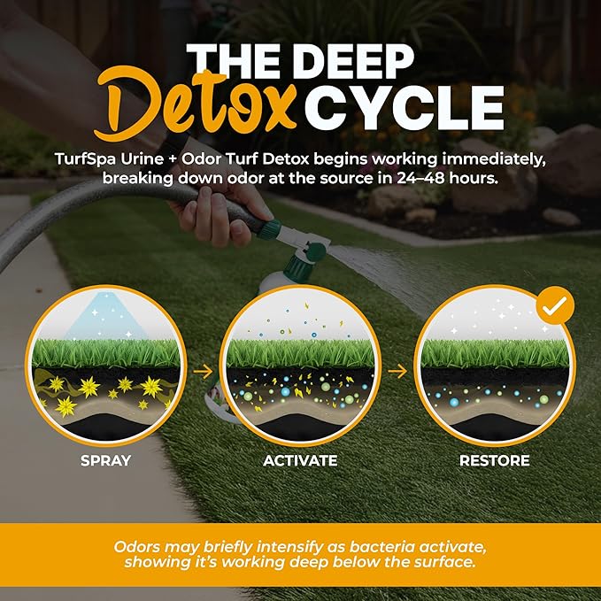 Urine & Odor Turf Detox: 2- Pack of Mango 32 oz Professional Enzyme Cleaner & Odor Eliminator for Artificial Grass, Turf, Concrete, Patio & Kennels, Pet Urine Enzymatic Cleaner for Dogs & Cats