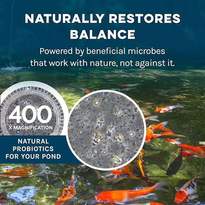 MICROBE-LIFT Nutrient Export Pond Water Clarifier, Natural Nutrient Remover to Combat Cloudy Water and Maintain Balance, 32 Fl Oz