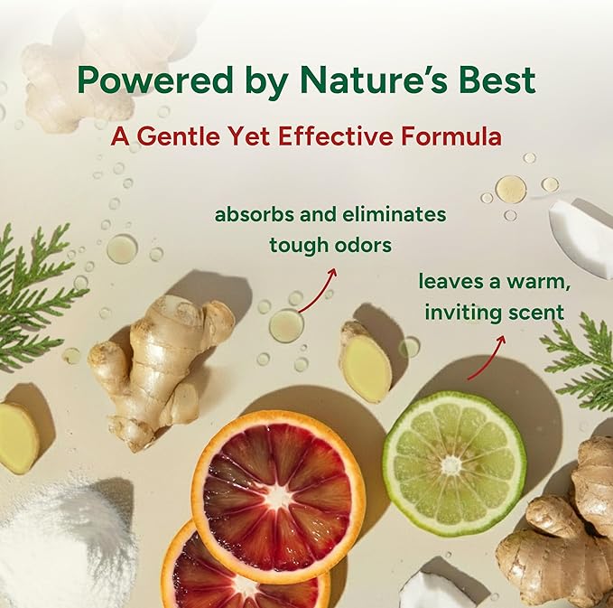 Good Natured Brand | Carpet Deodorizer & Freshener Powder | 31 oz Pet Odor Eliminator for Strong Odor & Pet Urine | Fresh Natural Fireside Spice Scent | Safe for Homes with Pets