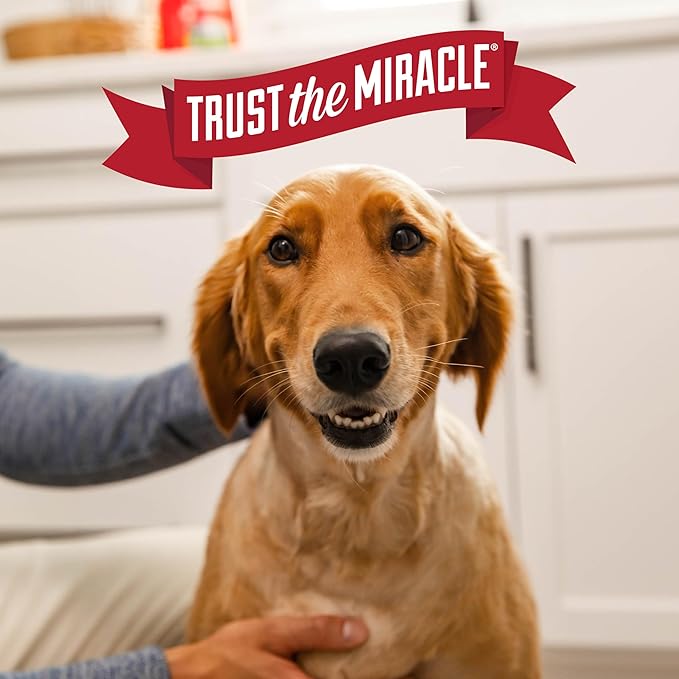 Nature’s Miracle Advanced Stain & Odor Eliminator For Dogs With Flip & Go Sprayer, 64 Ounces, Enzymatic Formula For Severe Dog Messes Including Urine, Feces, Diarrhea And Vomit Stains And Odors