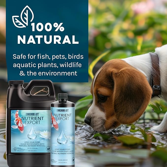 MICROBE-LIFT Nutrient Export Pond Water Clarifier, Natural Nutrient Remover to Combat Cloudy Water and Maintain Balance, 1 Gallon