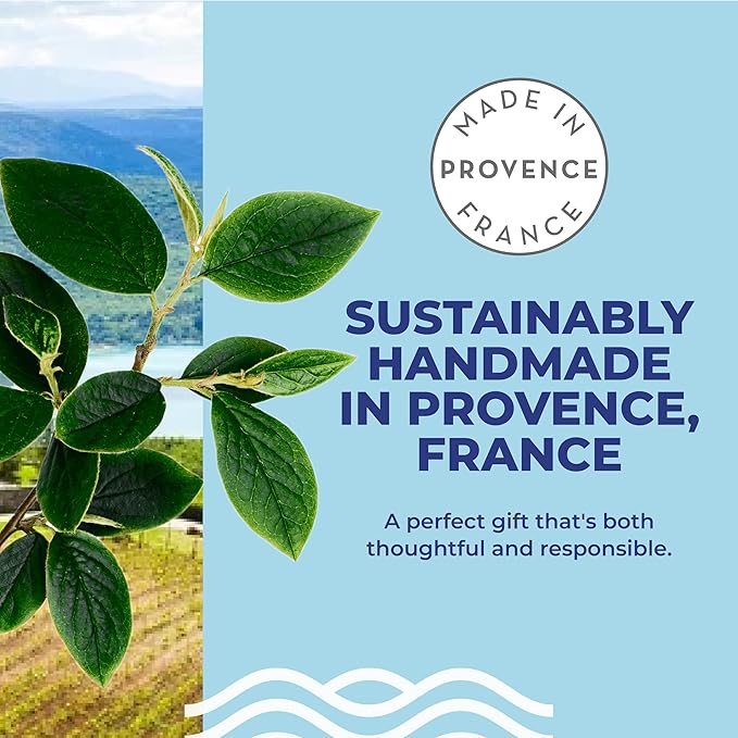 La Grappe d'Or Fresh Mint Marseille Hand Soap with Essential Oils | Handmade in France from Moisturizing Organic Olive & Coconut Oil | Natural, Cruelty-Free & Vegan, 11.10 oz Liquid