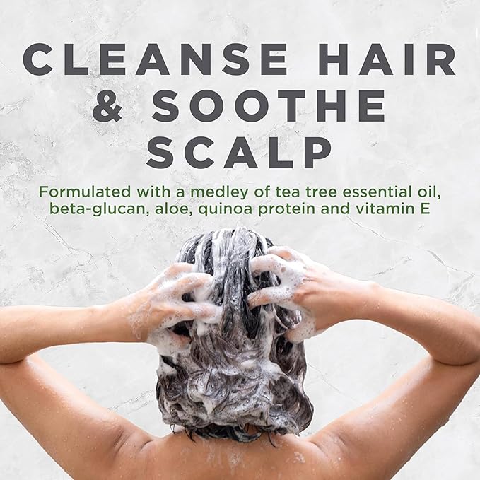 Avalon Organics Scalp Treatment Tea Tree Shampoo, Encourages Scalp Well-Being and Leaves Hair Soft, 32 Fluid Ounces, (Pack of 2)