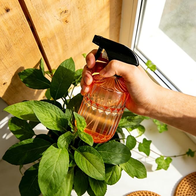 Glass Plant Mister Spray Bottle, 15oz Refillable Water Bottle Spray, Reusable Adjustable Nozzle Plant Mister Spray Bottles Indoor, Plant Mister for Hair, Cleaning, Gardening, Pets Care (Orange)