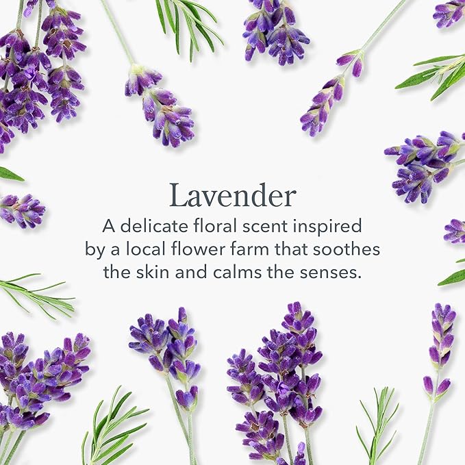 Beekman 1802 Goat Milk Hand Wash – Lavender – Scented – 12.5 fl oz – Moisturizing & Gentle – Good for Sensitive Skin – Cruelty Free – Ready for Use, Pump Inserted