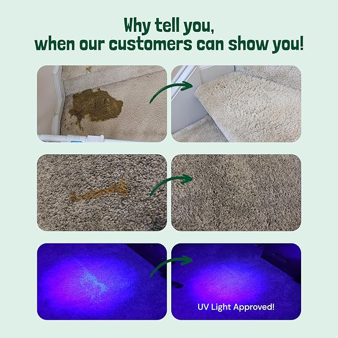 Sunny & Honey Pet Stain Remover - For New and Deep-set Stains - Pet & Kid Safe Pet Enzyme Cleaner - Fast Acting Carpet Cleaner Spray for Rugs, Upholstery & Furniture (128 fl oz, Spring Mint)