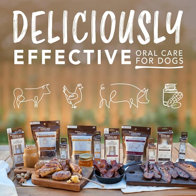 TropiClean Enticers Kong Dental Ball Kit for Large Dogs | Teeth Cleaning Gel | Smoked Beef Brisket Flavor | 1 oz.