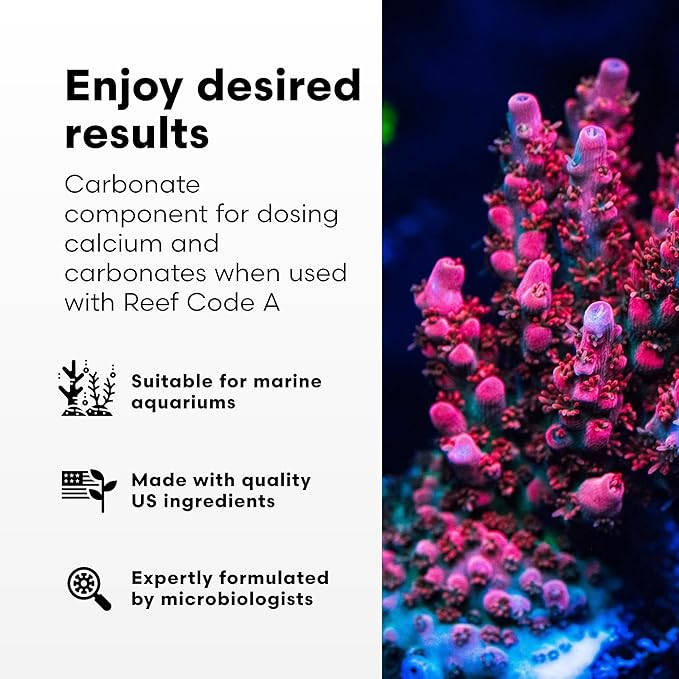 Brightwell Aquatics - Reef Code B - Balanced Calcium & Alkalinity System Water Conditioner - for All Saltwater Marine Fish & Reef Fish Tanks - Aquarium Water Treatments, 135.2 fl oz