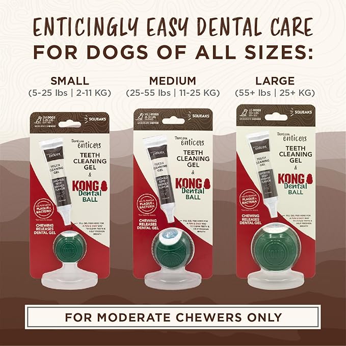 TropiClean Enticers Kong Dental Ball Kit for Large Dogs | Teeth Cleaning Gel | Smoked Beef Brisket Flavor | 1 oz.