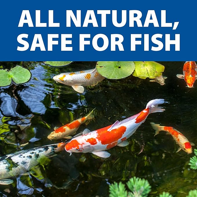 The Pond Guy LiquidClear Beneficial Bacteria Pond Cleaner for Outdoor Water Gardens & Small Ponds, Cloudy Water Reducer, Fish & Plant Safe, 32 Ounce