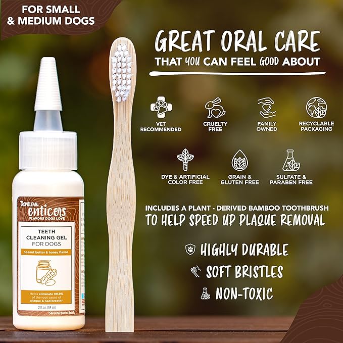 TropiClean Enticers Teeth Cleaning Gel & Toothbrush for S/M Dogs | Peanut Butter & Honey | Bamboo Brush Speeds Up Plaque Removal | Gell Helps Fight Bad Breath | 2 oz