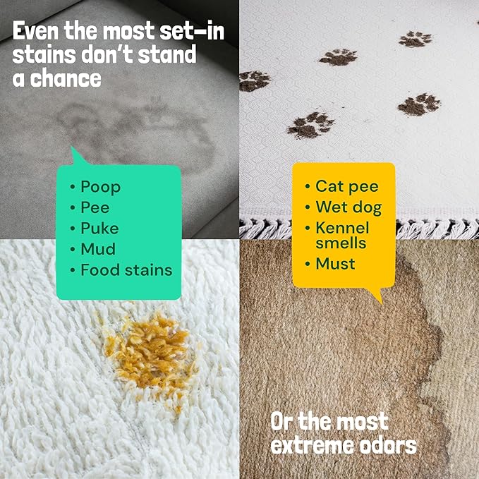 Sunny & Honey Turbo Carpet Cleaner Spray - Carpet Stain Remover with 40% More Enzymes - Pet Urine Enzyme Cleaner & Floor Deodorizer - Pet & Kid Safe Rug Cleaner (32 fl oz, Spring Mint)