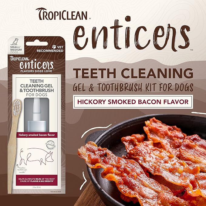 TropiClean Enticers Teeth Cleaning Gel & Toothbrush for S/M Dogs | Hickory Smoked Bacon Flavor | Bamboo Brush Speeds Up Plaque Removal | Gel Helps Fight Bad Breath | 2 oz