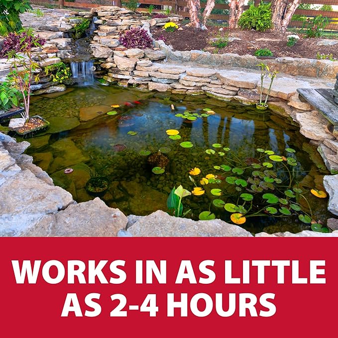 The Pond Guy RapidClear Flocculant, Water Garden Clarifier Treatment, Clear Cloudy Outdoor Koi Fish Ponds & Fountains, Plant & Animal Safe, 1 Gallon