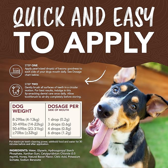 TropiClean Enticers Teeth Cleaning Gel & Toothbrush for S/M Dogs | Hickory Smoked Bacon Flavor | Bamboo Brush Speeds Up Plaque Removal | Gel Helps Fight Bad Breath | 2 oz