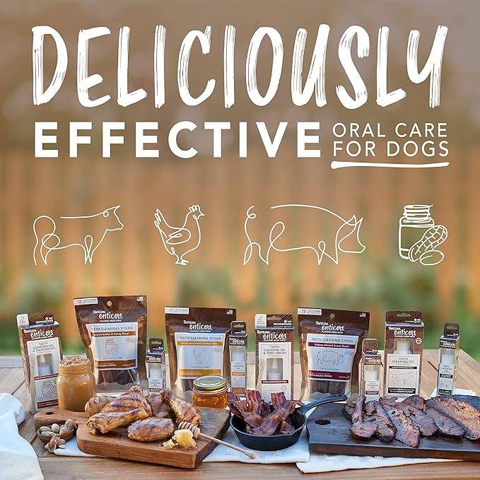 TropiClean Enticers Teeth Cleaning Gel & Toothbrush for S/M Dogs | Hickory Smoked Bacon Flavor | Bamboo Brush Speeds Up Plaque Removal | Gel Helps Fight Bad Breath | 2 oz