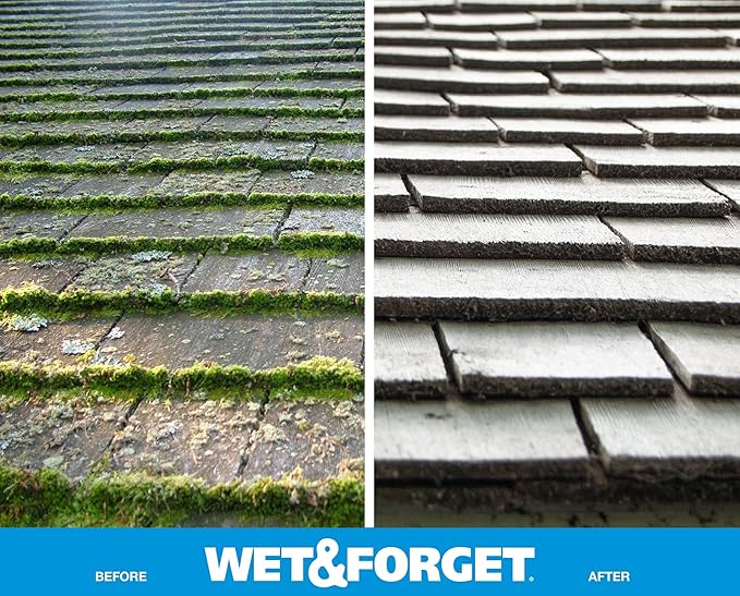 Wet & Forget Outdoor Moss Mold Mildew & Algae Stain Remover 2x .75 Gallon