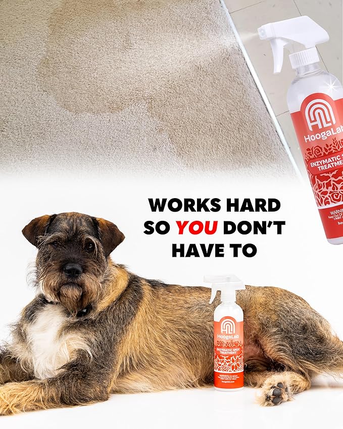 16oz Enzymatic Spot Treatment - Powerful Stain Remover for Tough Messes | Pet Cleaner, Elimate Organic Stains, Odors, and Residues From Carpet, Upholstery, and Fabrics! (2 pack)
