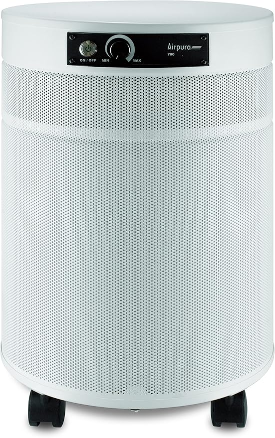 Airpura C700 DLX - Chemicals and Gas Abatement Plus Air Purifier (WHITE)